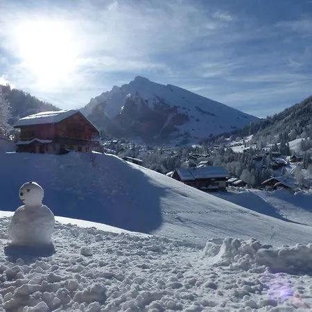La Clusaz, 3 Pièces, 6 Personnes - Fr-1-437-59 Appartamento *